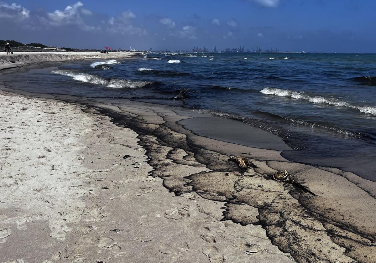 Un vertido de alquitrán obliga a cerrar todas las playas del parque natural de la Albufera 