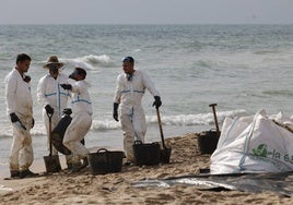 Operarios de Tragsa en las labores de limpieza de las playas del sur de Valencia.