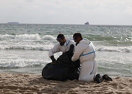 Reanudan la limpieza del vertido en El Saler