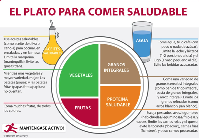 El plato para comer saludable de Harvard