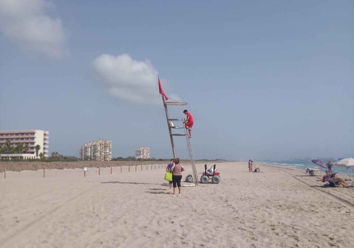 La reapertura de las playas de Valencia afectadas por el vertido de fuel, en imágenes