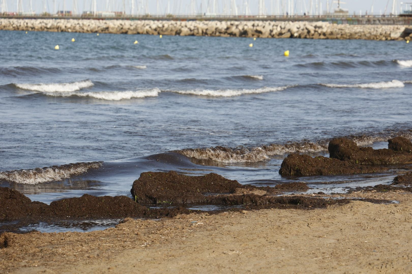 Una mancha en la playa del Cabanyal obliga a desalojar bañistas