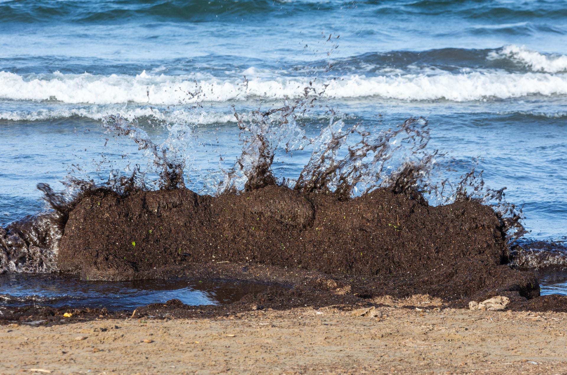 Una mancha en la playa del Cabanyal obliga a desalojar bañistas