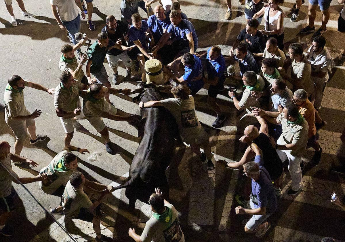 Festejos de bous al carrer en Carpesa.