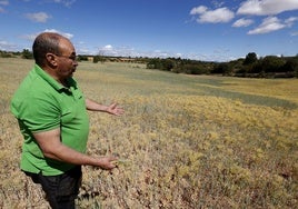 Un agricultor ante su campo seco.