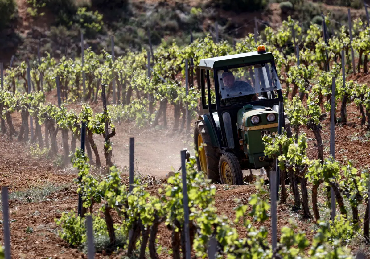 La CHJ planteará nuevas restricciones al riego en una comisión extraordinaria 