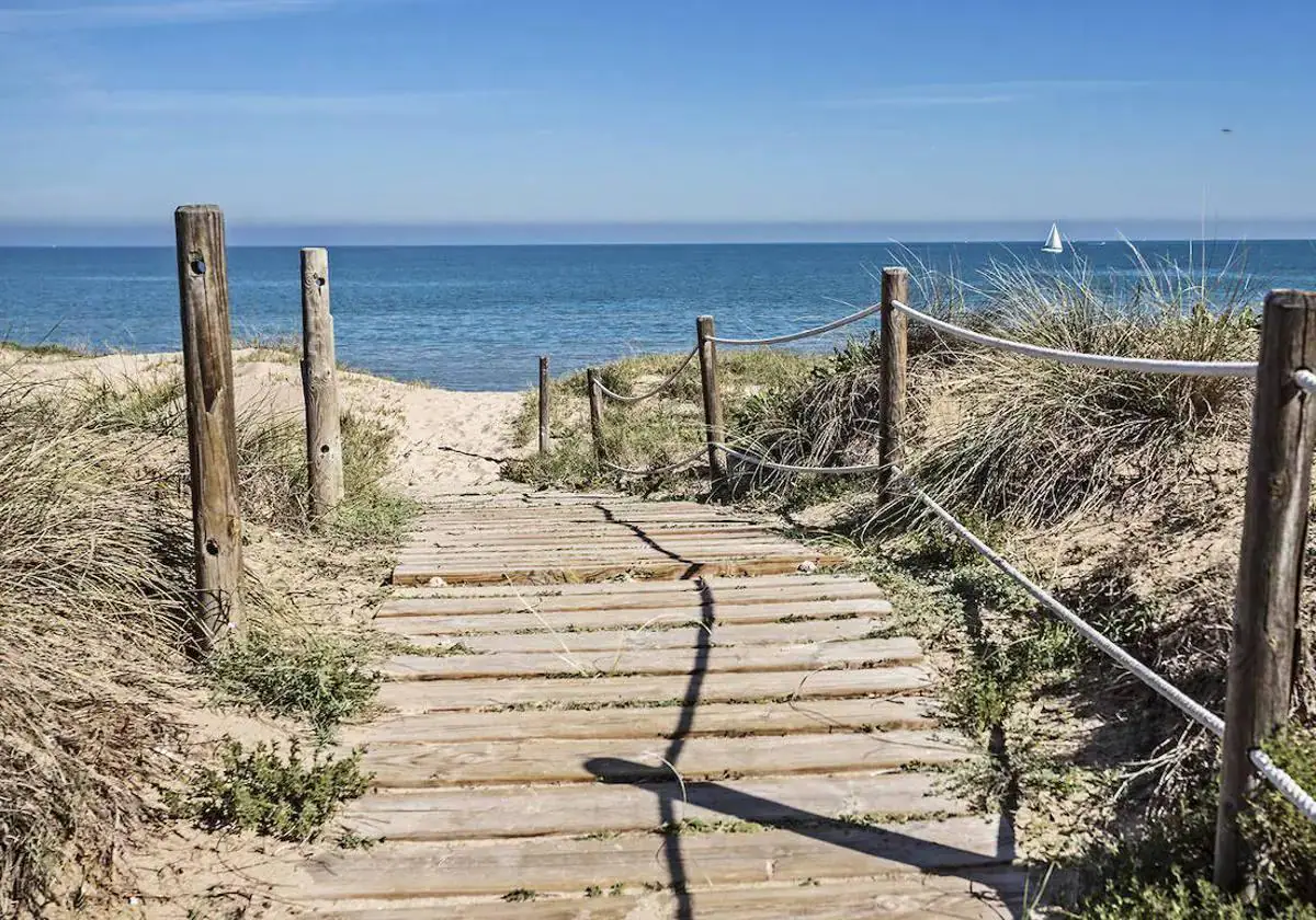 Cómo están hoy las playas de Gandia, Oliva y Cullera: tiempo y bandera 