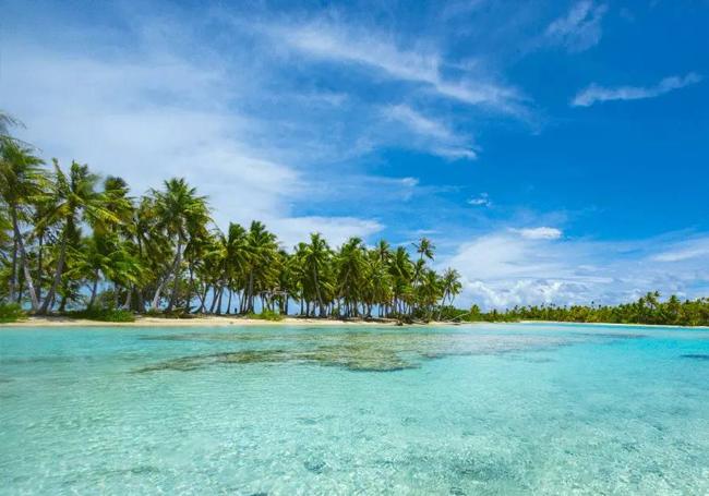 El mar de Laguna Verde acompañado de las palmeras que lo rodean.