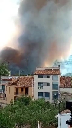 Declarado un incendio forestal en Benasau
