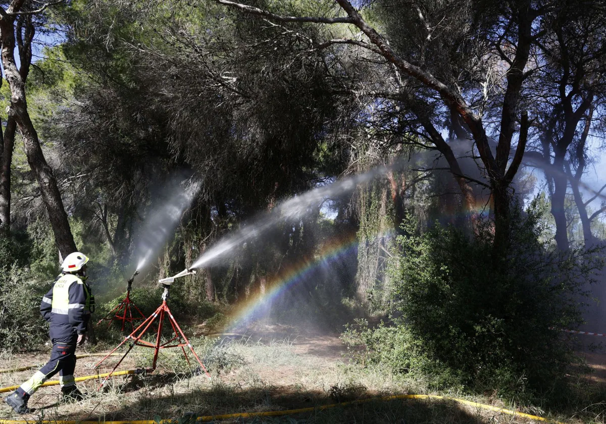 Las altas temperaturas llevan a encender los cañones de agua del Saler 