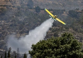 Un avión lanza agua en un incendio forestal.