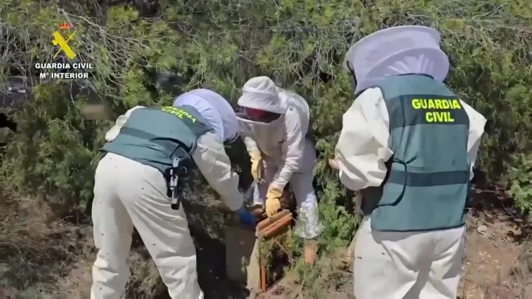 Once investigados por vender miel procedente de China contaminada con pesticidas