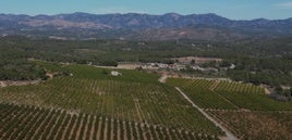 Cultivos afectados por la planta solar proyectada.