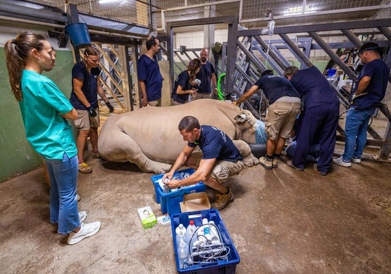 Un momento de la intervención.