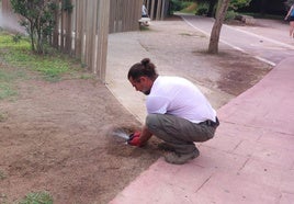 Roberto trabajando en el Jardín del Túria.