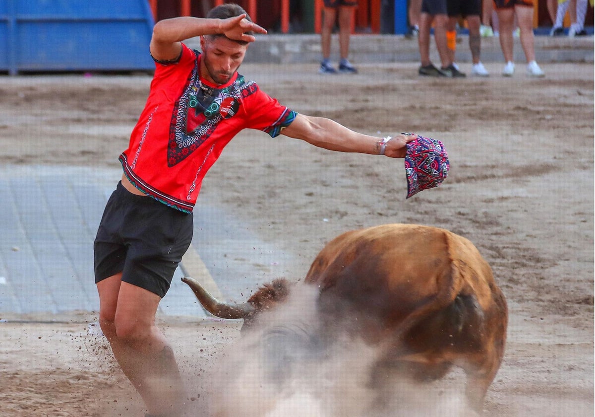 Espectacular quiebro a una vaca de Hermanos Bellés en Vall d'Uixó