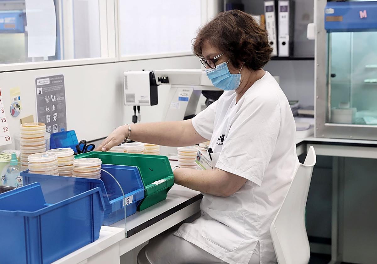 Una técnico de laboratorio trabaja con pruebas PCR para la viruela del mono.