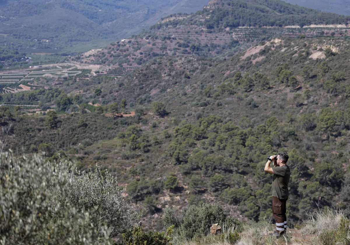 Medio Ambiente aprueba 7,9 millones para la prevención de incendios y gestión forestal 