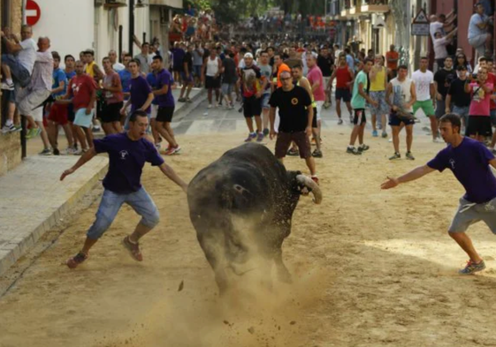 Dos jóvenes reciben a un toro al alimón en Alfafar.