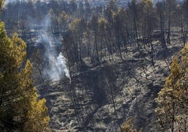 Superficie forestal calcinada por el incendio de Benasau.