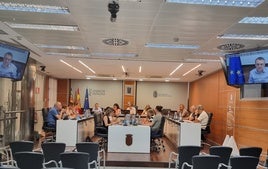 Pleno del Ayuntamiento de Riba-roja de Túria.