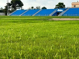 Césped del campo de Sueca.