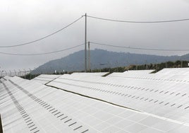 Instalación solar fotovoltaica en L'Olleria.