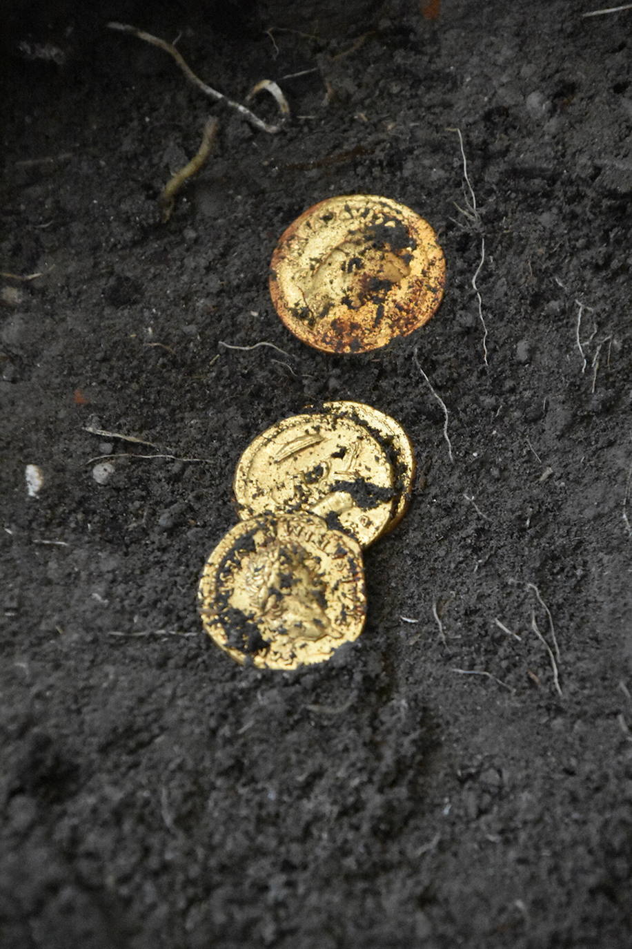 Descubren en Pompeya el esqueleto de dos víctimas de la erupción del Vesubio