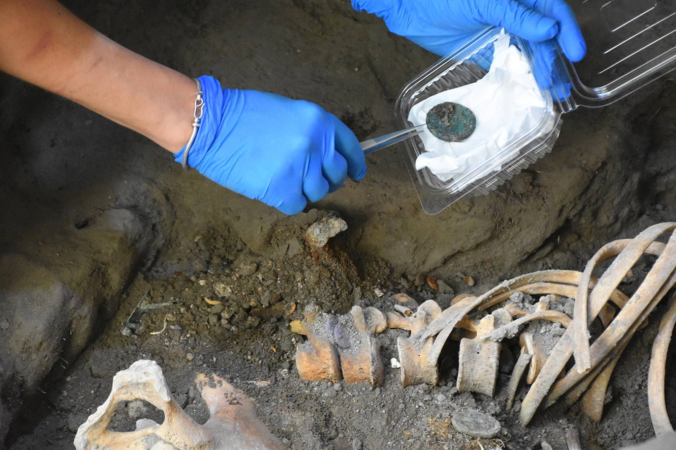 Descubren en Pompeya el esqueleto de dos víctimas de la erupción del Vesubio