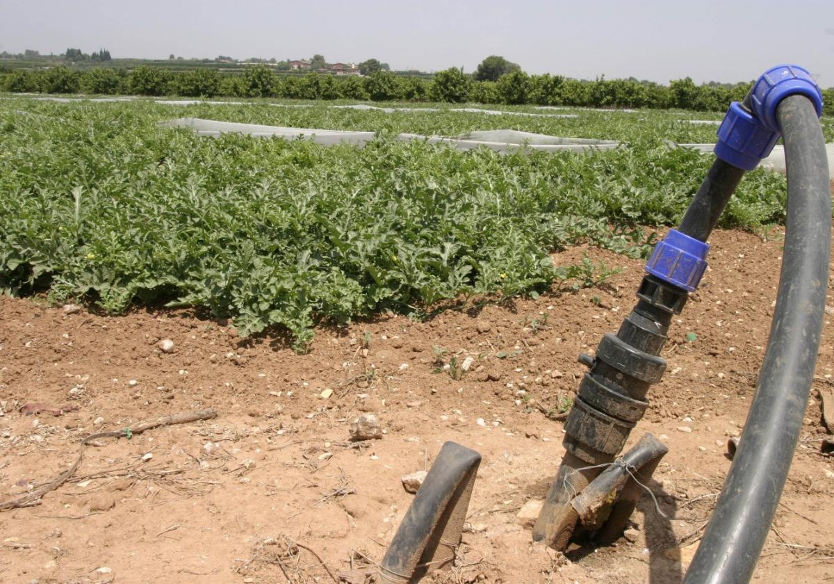 Agricultura invertirá más de 300 millones en modernización de regadíos hasta 2027 