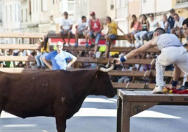 Festejo de bous al carrer.