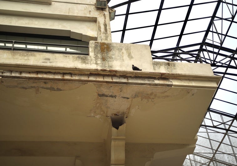 Estado que presenta el edificio del complejo de Abastos de Valencia, con la nidificación de palomas.