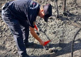 Carlos, uno de los agentes medioambientales de la Generalitat, en la investigación de un incendio