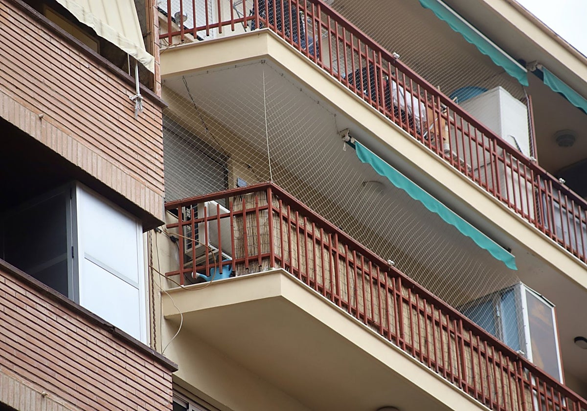 Imagen principal - Redes instaladas por los vecinos en los balcones y figura que simula un halcón, en Benimaclet.