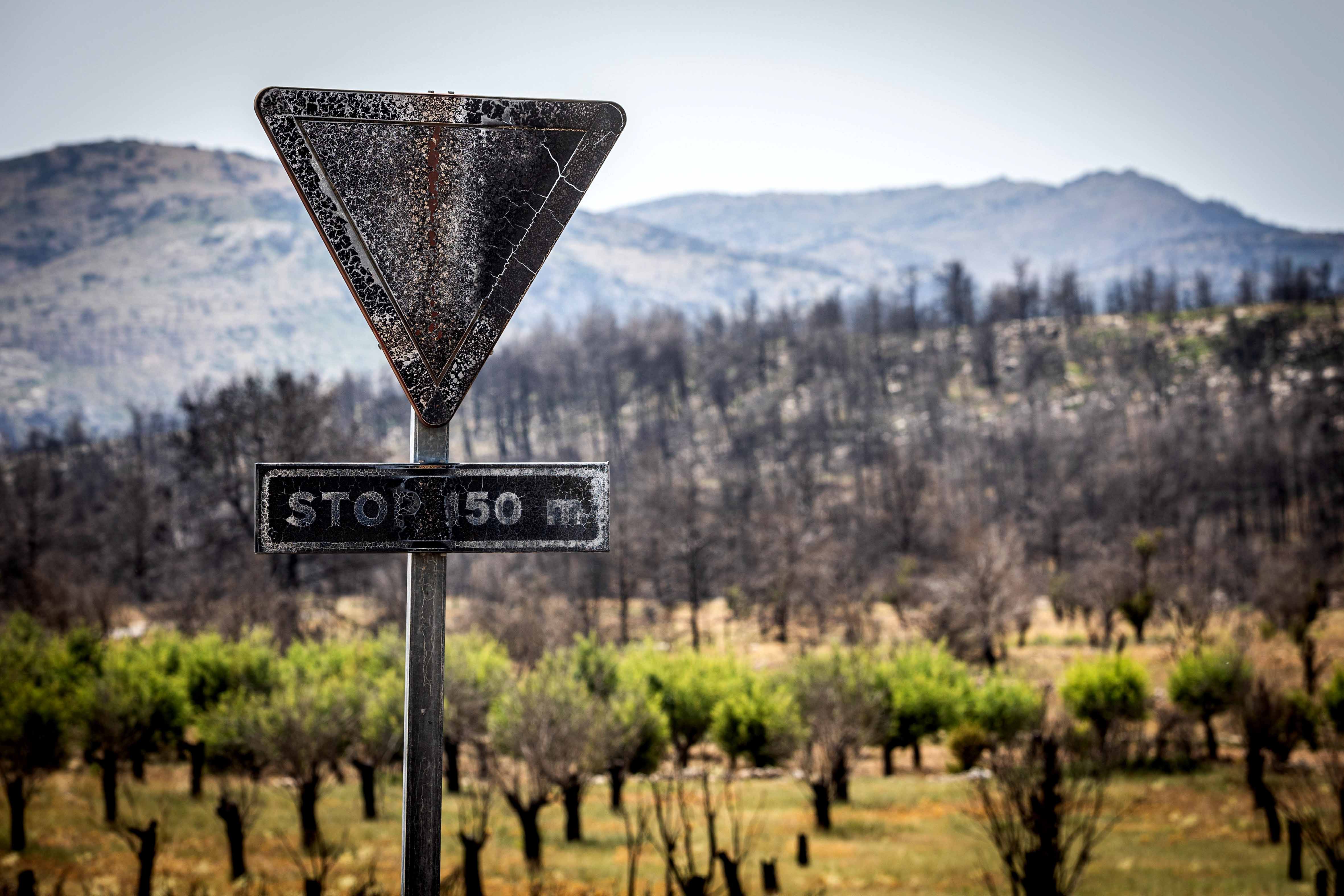 Alcaldes del Alto Palancia exigen al Consell que reactive los planes de recuperación por el incendio de Bejís 