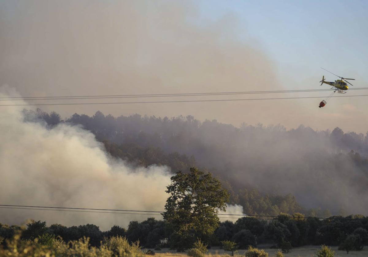 Fotos del incendio forestal de Trabazos, en Zamora