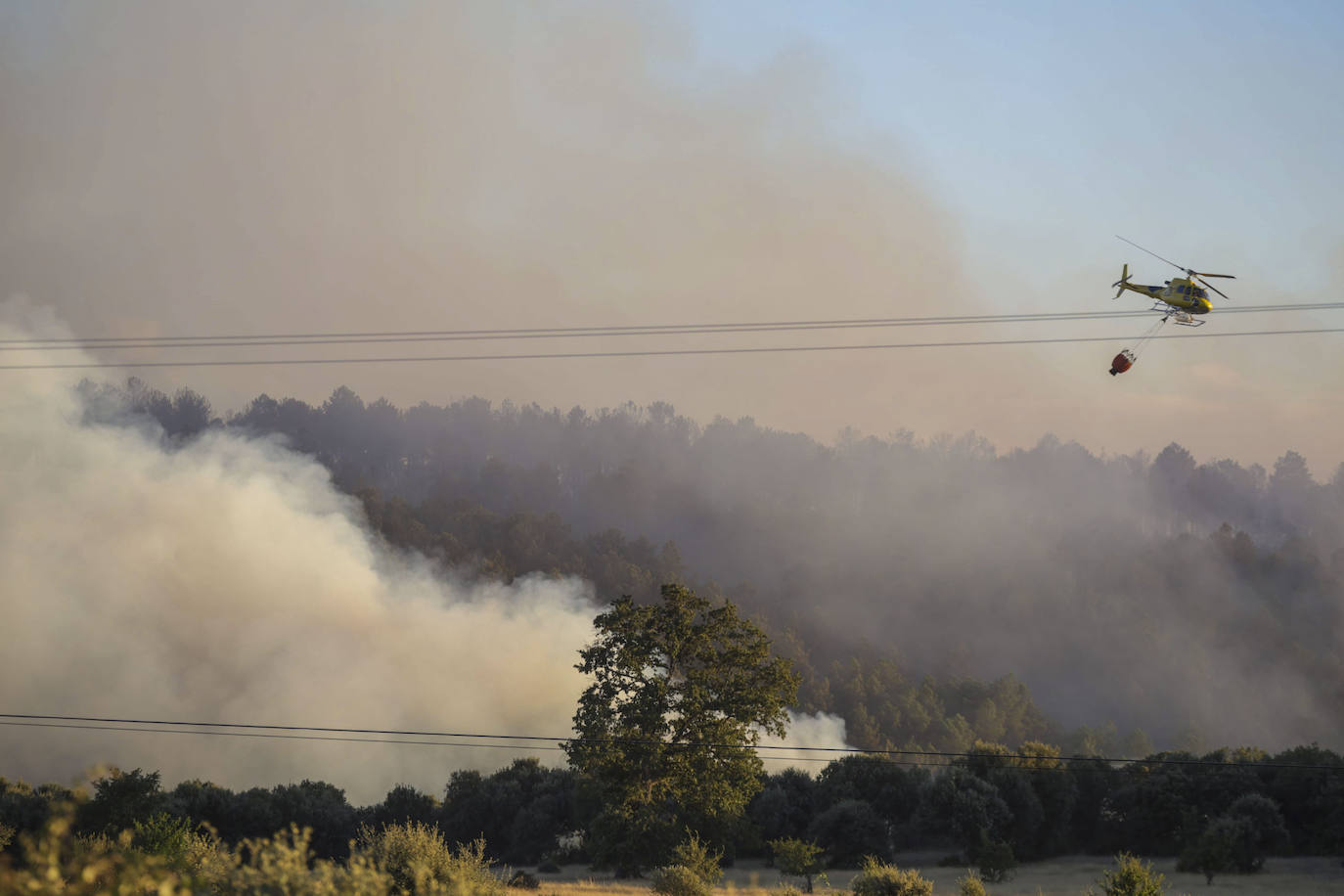 Fotos del incendio forestal de Trabazos, en Zamora