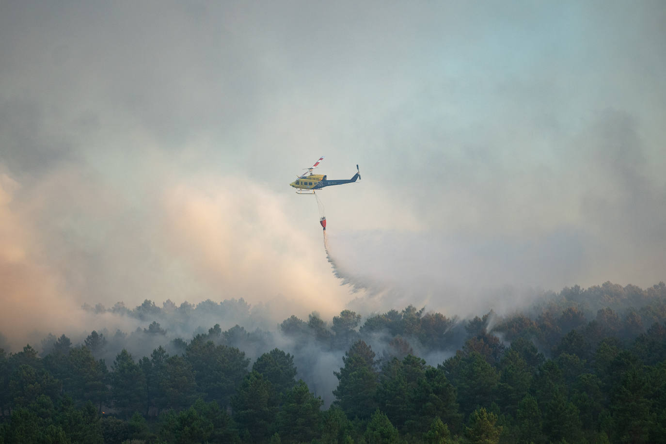 Fotos del incendio forestal de Trabazos, en Zamora