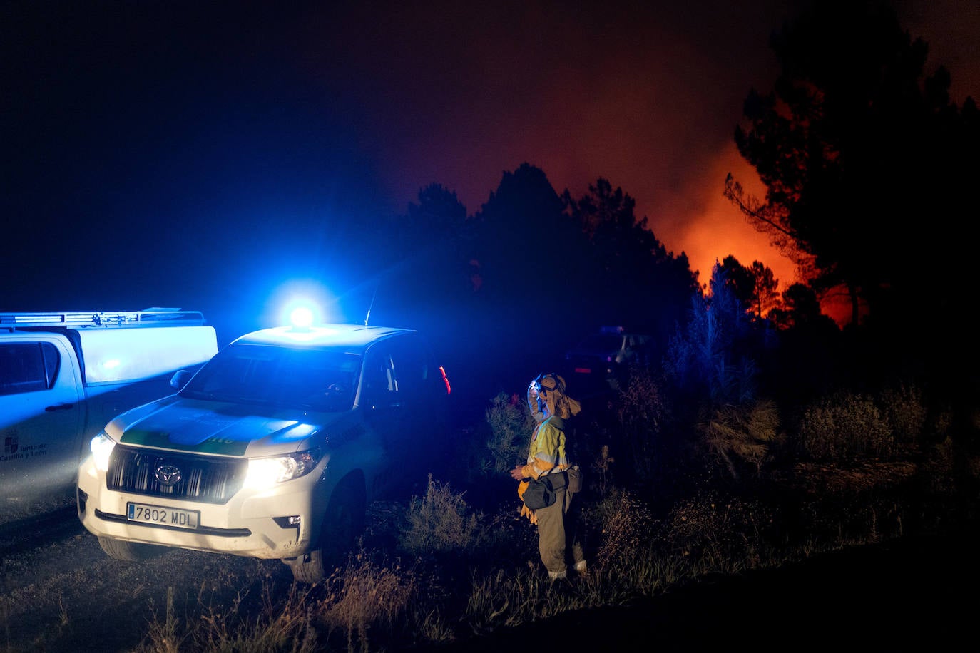 Fotos del incendio forestal de Trabazos, en Zamora