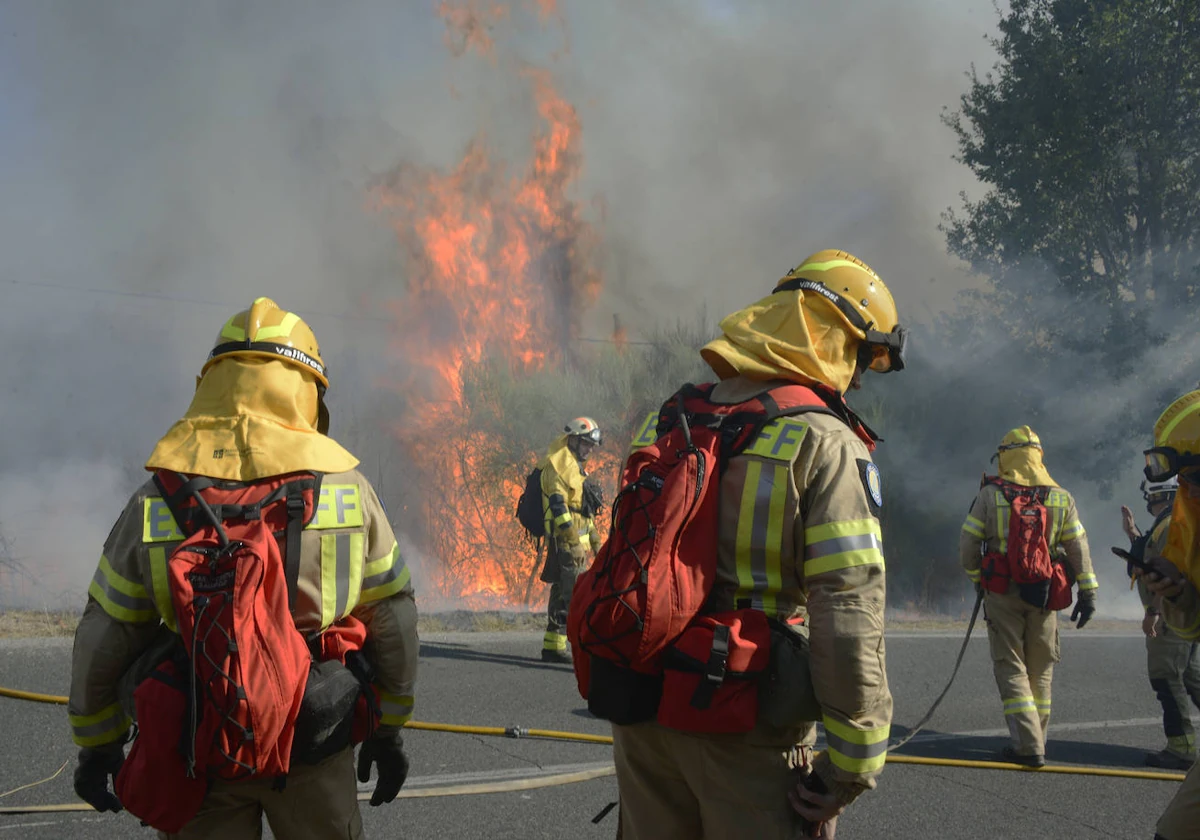 El Consell amplía los contratos de refuerzo de los bomberos forestales hasta fin de año 