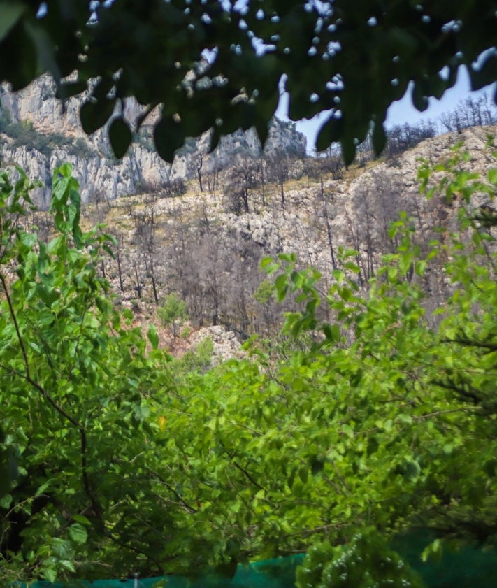 Imagen secundaria 2 - Un oasis verde en el camping de Bejís, entre tanta desolación.