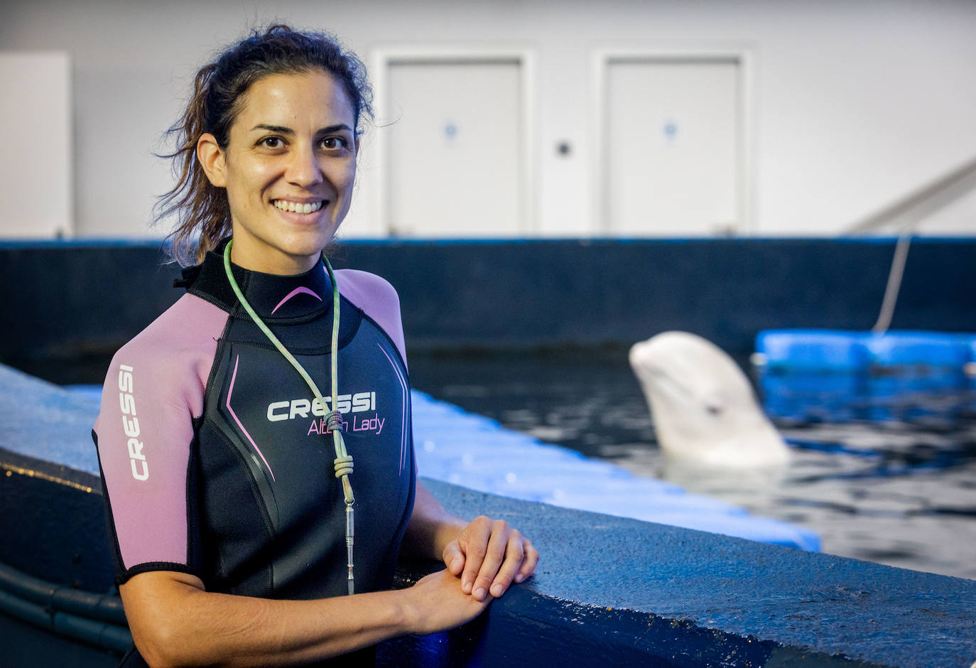 Las belugas ucranianas se quedan en el Oceanogràfic