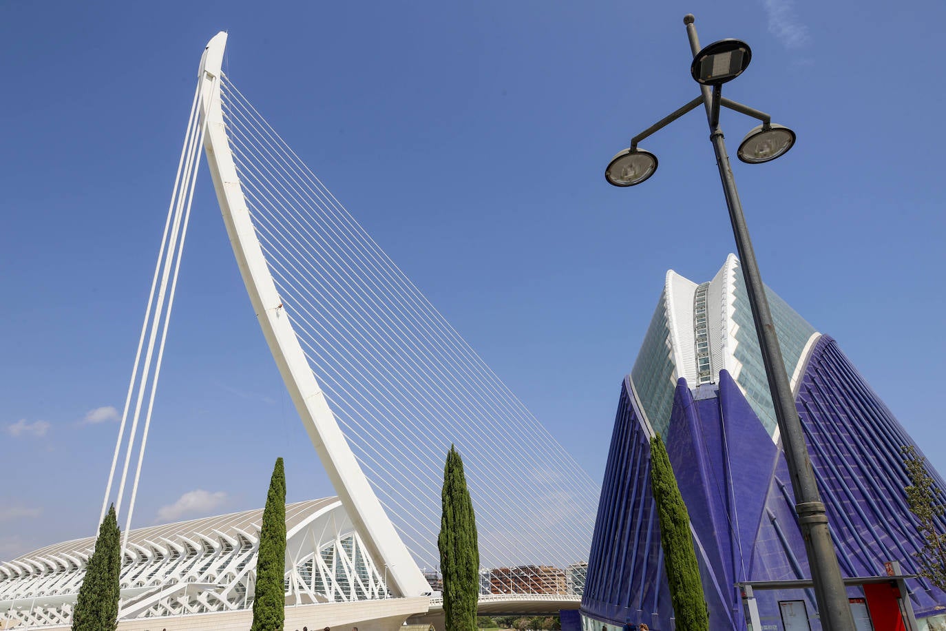 Fotos: Valencia revisa el estado de l&#039;Assut d&#039;Or, el puente más alto de la ciudad