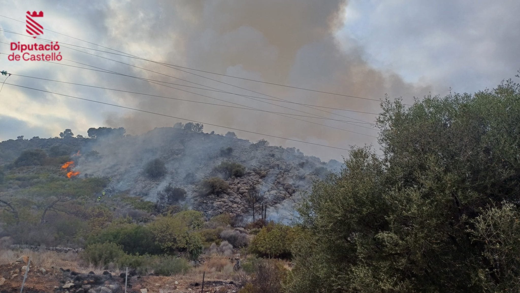 Fuego declarado este jueves en un área forestal de Oropesa.