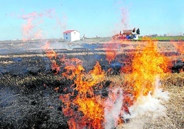 Un campo de arroz durante la quema de la paja en la Albufera.