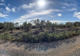 Ubicación prevista para la planta fotovoltaica 'Bolbaite 2'.