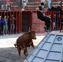 Un festejo taurino de este año.