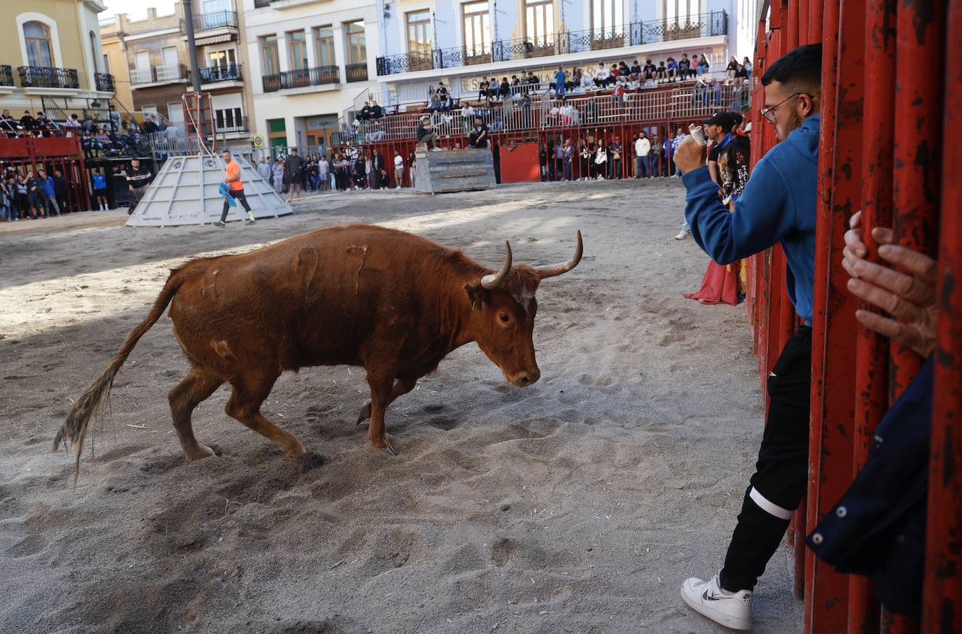 El alcalde de Vila-real pide sanciones más duras para los que incumplan las normas en los bous al carrer 