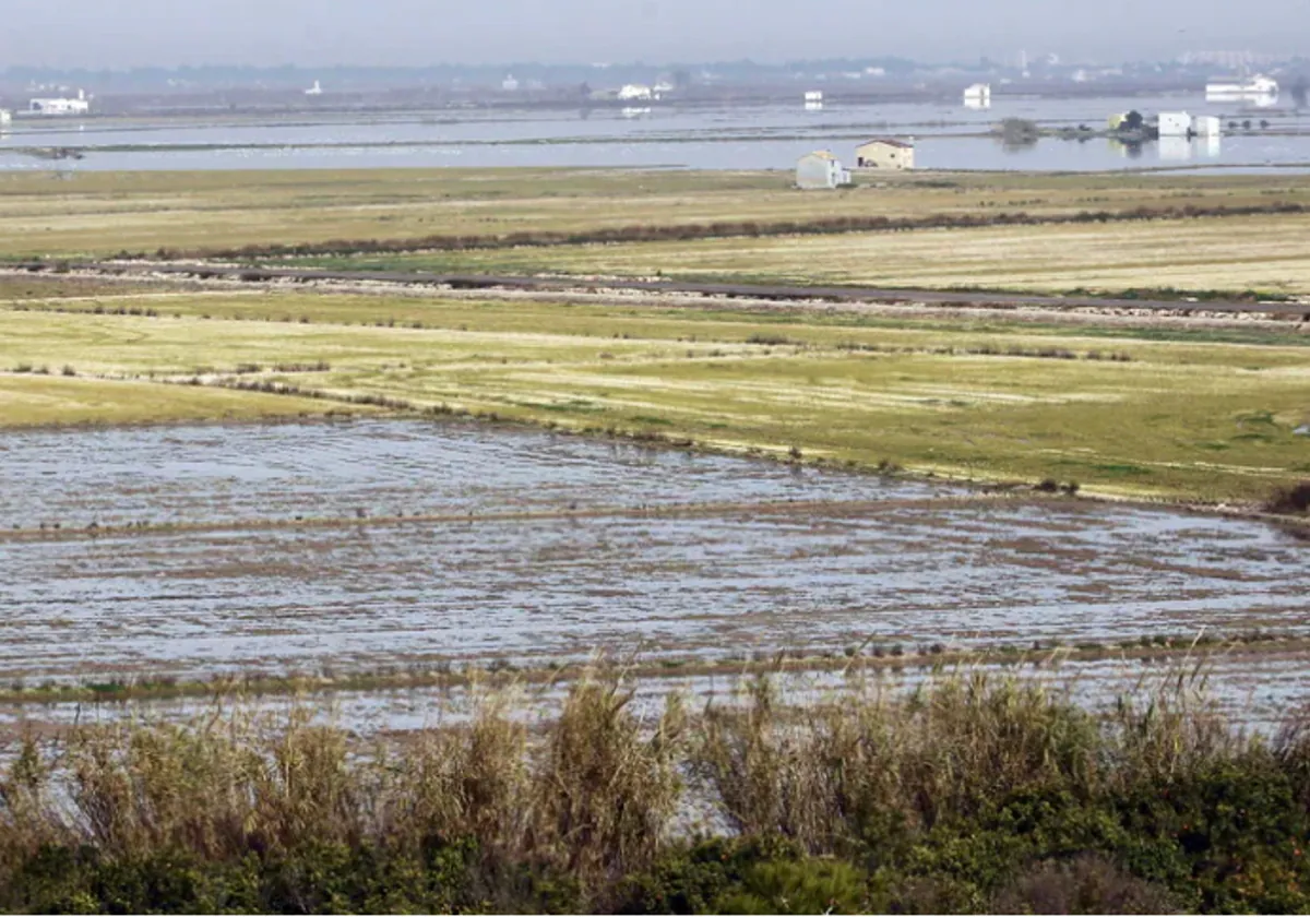 La Albufera se garantizará ayudas, controles y protección si es Reserva de la Biosfera 