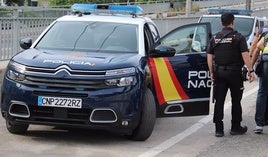 Policías nacionales, durante un control.